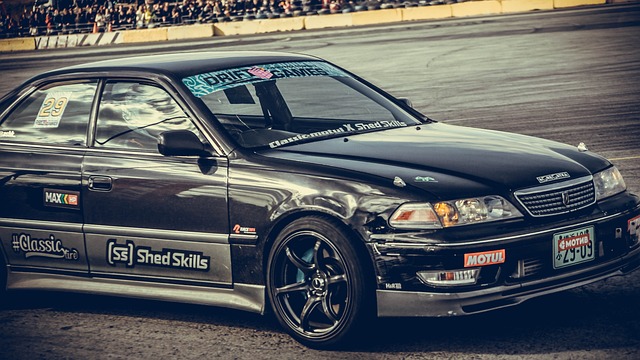 韧和拼搏精 韧和拼搏精