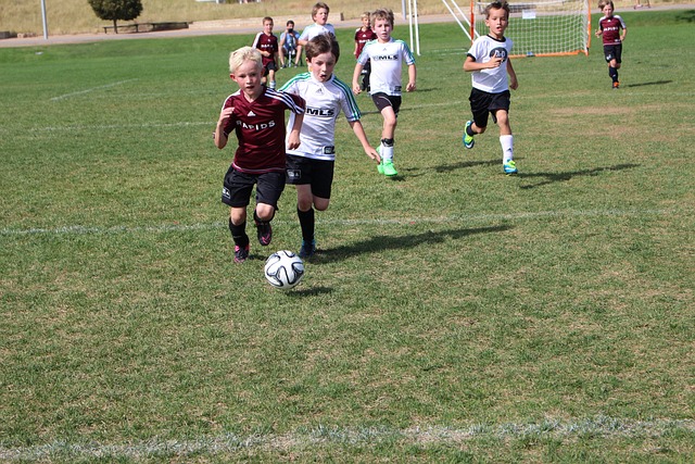 探讨崔永熙 探讨崔永熙