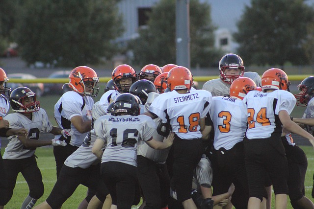 尼克斯本賽 尼克斯本賽