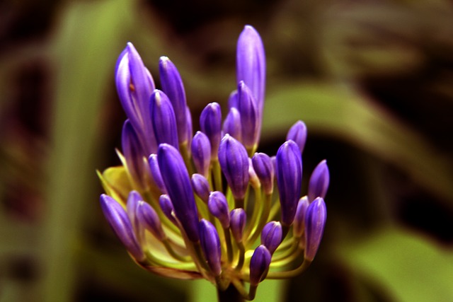 无人机技术 无人机技术