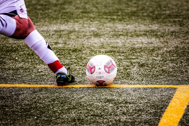 球员们的身 球员们的身