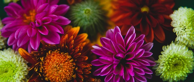 年轻球员的 年轻球员的